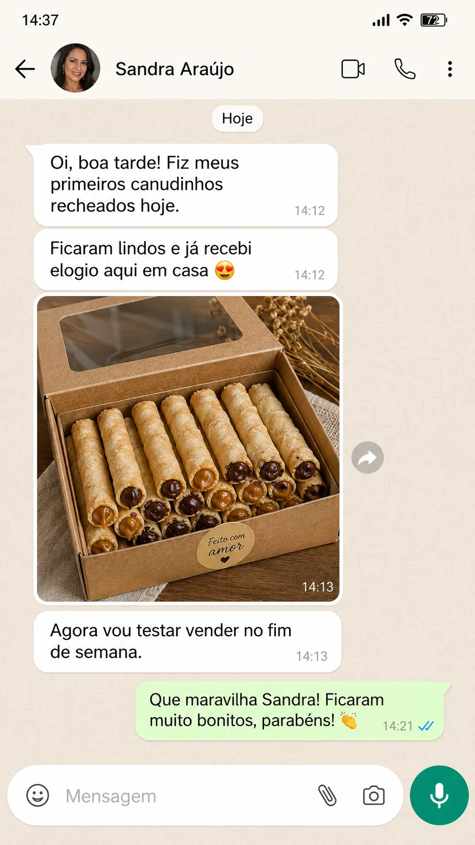 Print de conversa Sandra